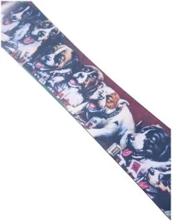 Burton Good Company -Ski Winkel Online burton good company 3 1